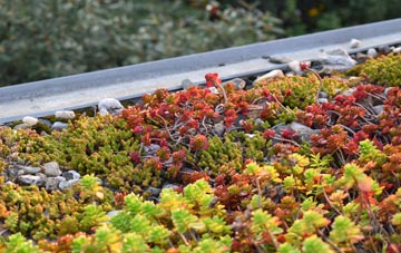 the cost of Southerquoy green roof installation