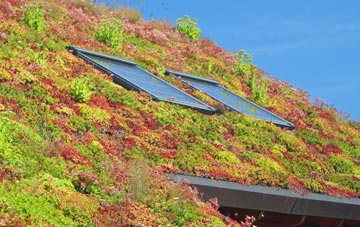 Southerquoy living roof systems