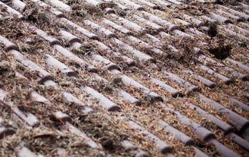 Southerquoy roof cleaning companies