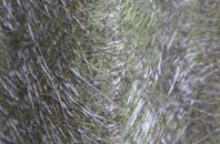 Southerquoy fibreglass roof work